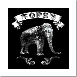 Topsy the Elephant Posters and Art